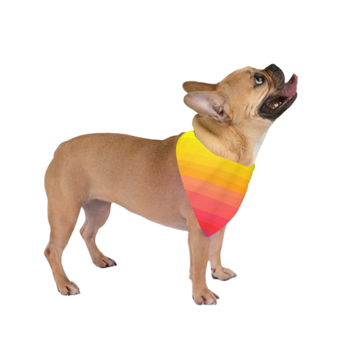 Custom Dog Bandana (C)