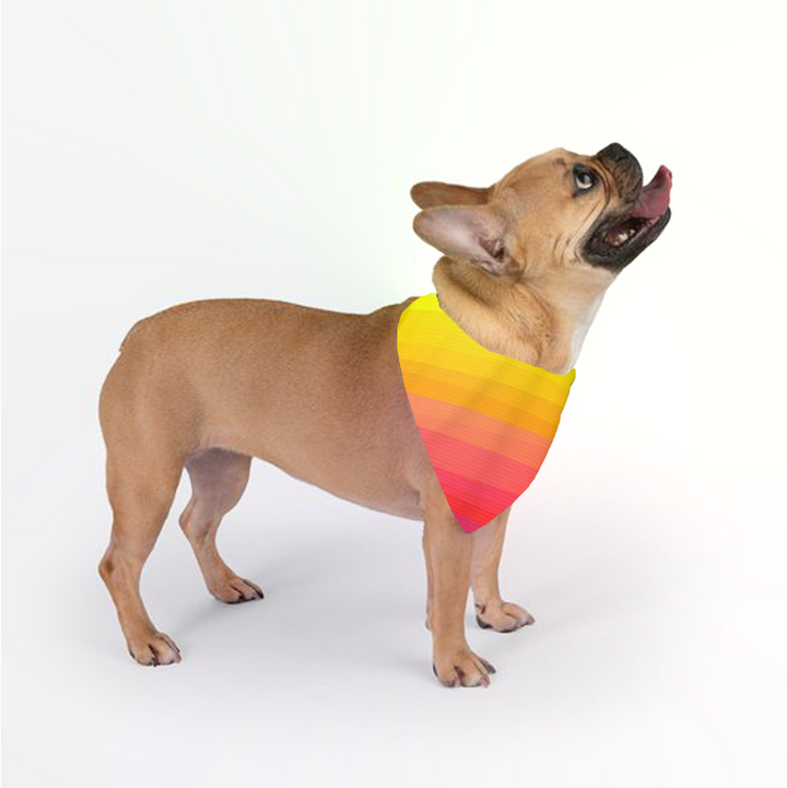 Custom Dog Bandana (C)