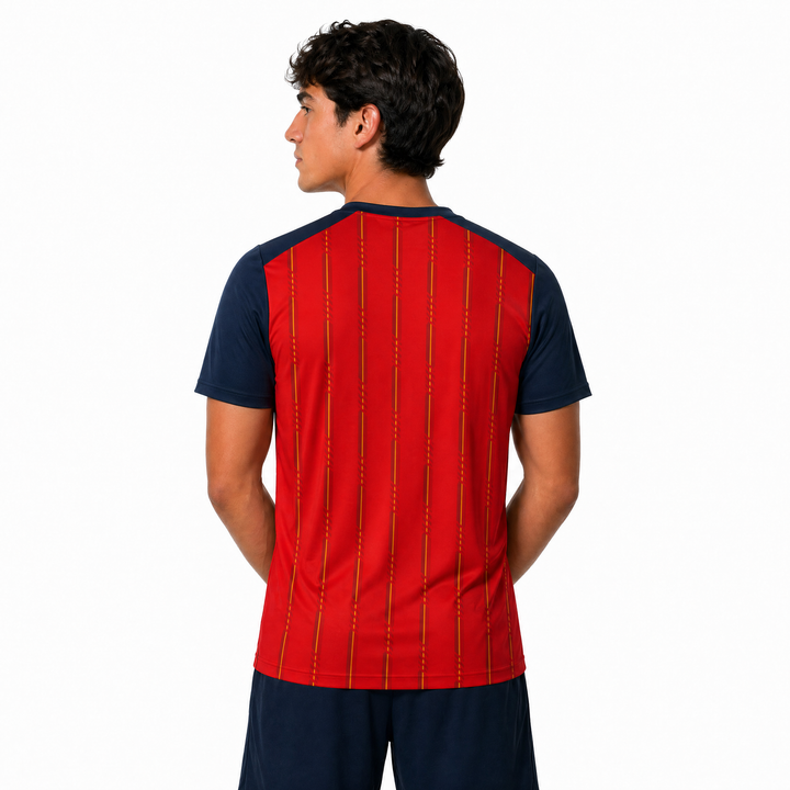 Spain Replica Soccer Jersey (C)